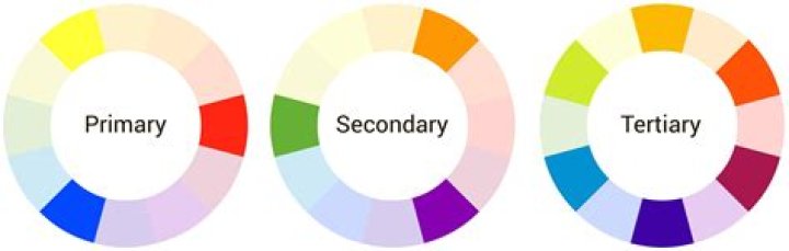What comes after primary then secondary?