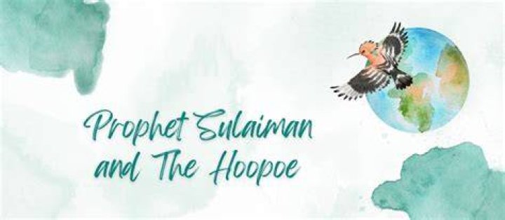 What did hoopoe do for Prophet Sulaiman?
