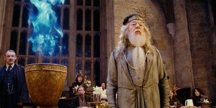 What did Igor do to the Goblet of Fire?