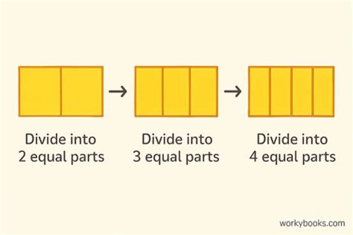 What divides a figure into two equal parts?
