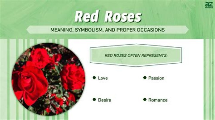 What do 9 red roses mean?