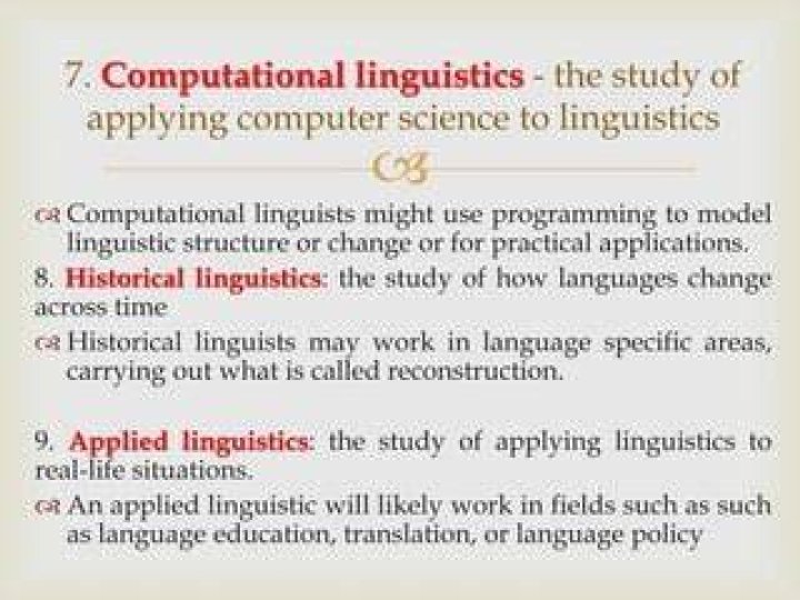 What do computational linguists do?