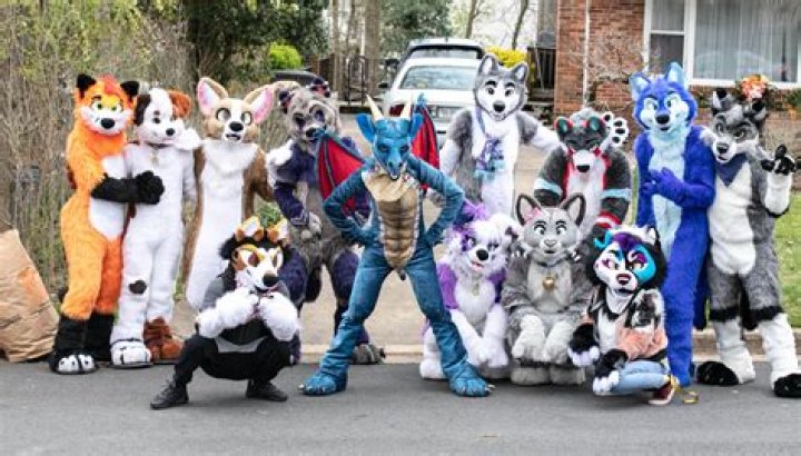 What do furries do?