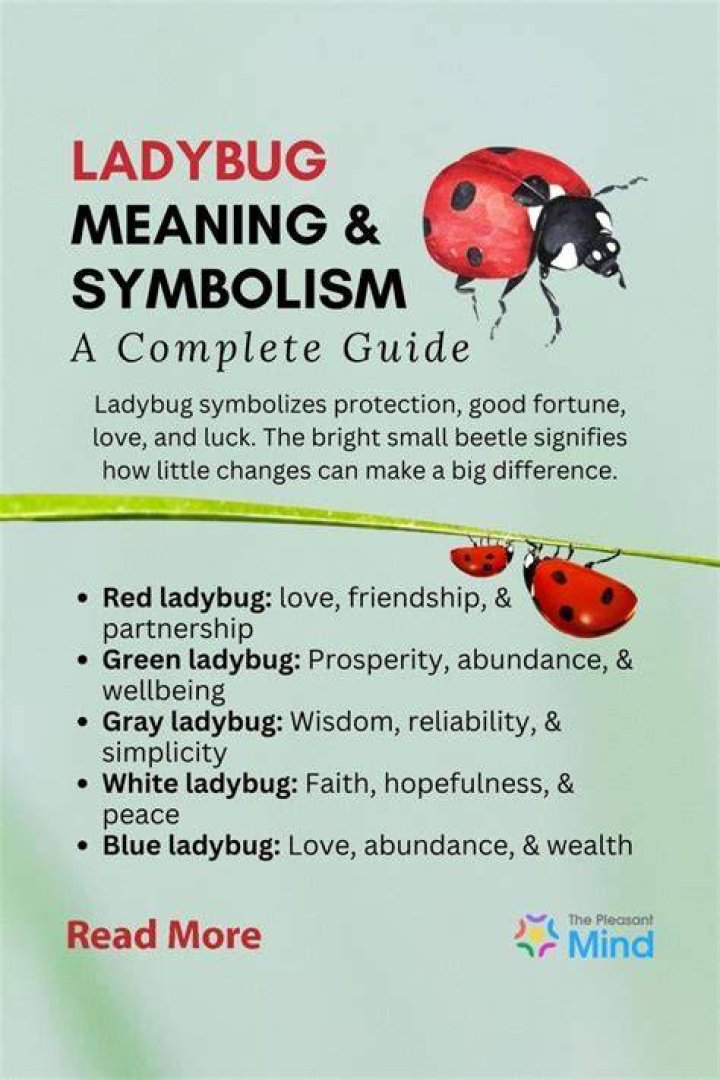 What do it mean when you see a ladybug?