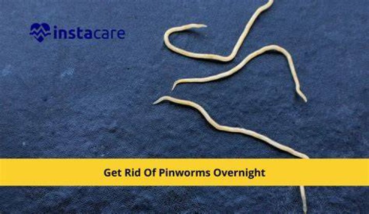 What do pinworms feel like at night?