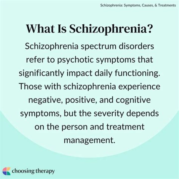 What do schizophrenic mean?