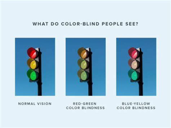 What do we see when we blink?