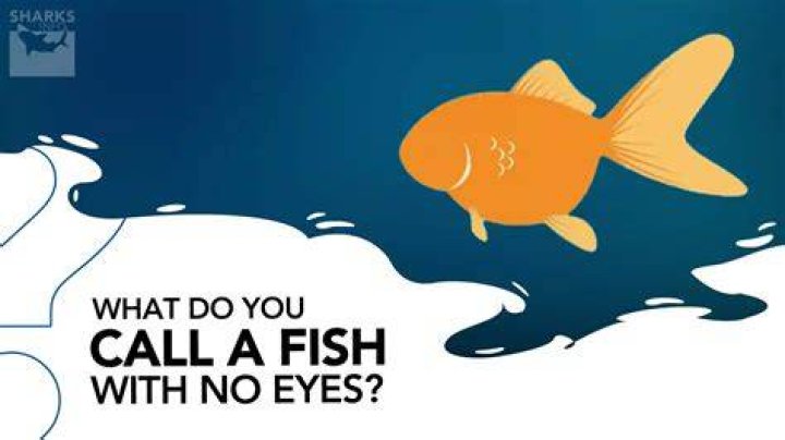 What do you call a person without eyes?