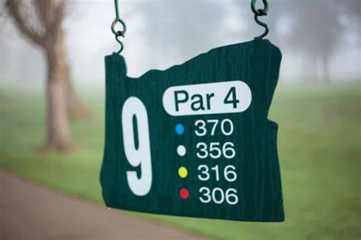 What do you call the last 9 holes of golf?