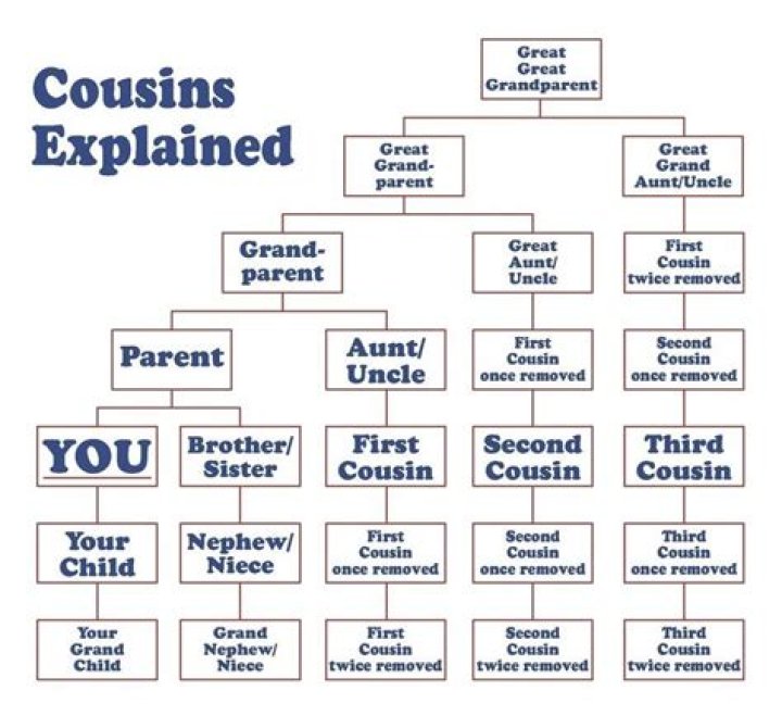 What do you call the son of your aunt?