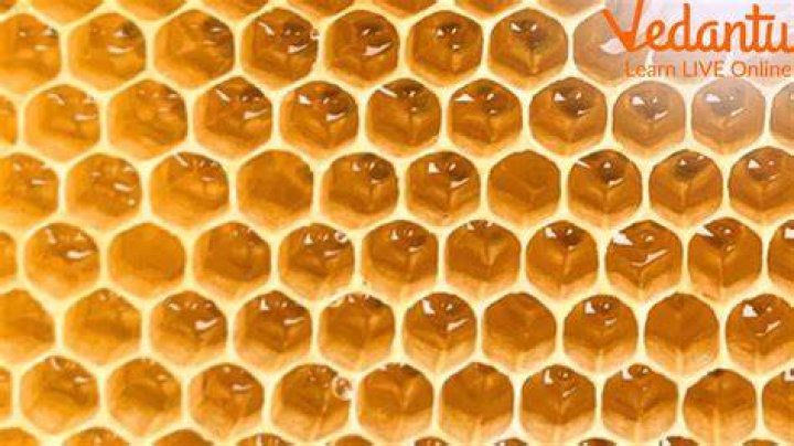 What do you do with the honeycomb in a jar of honey?