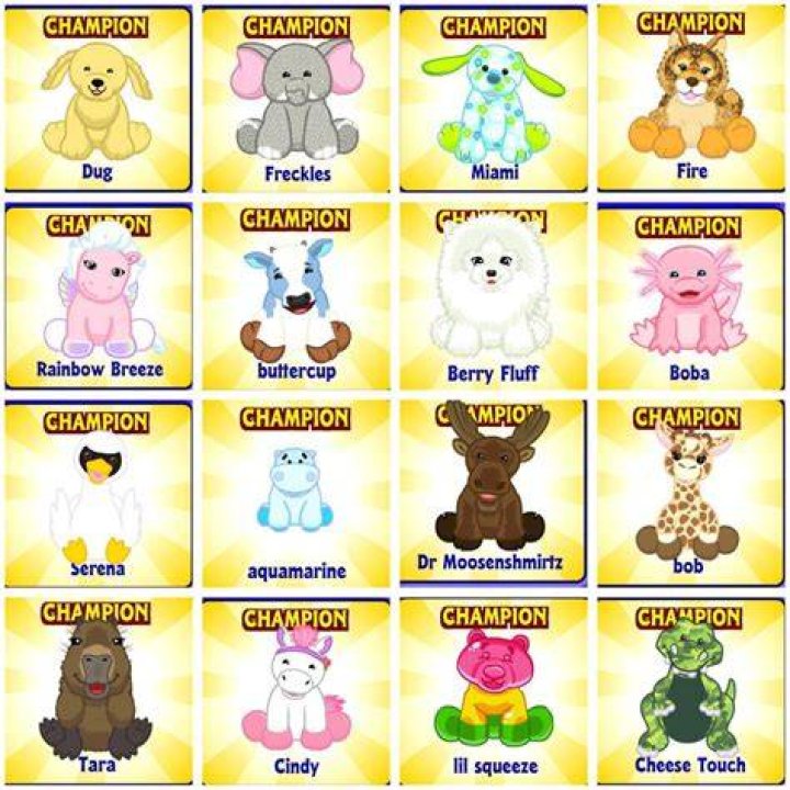 What do you do with your Webkinz Pets?