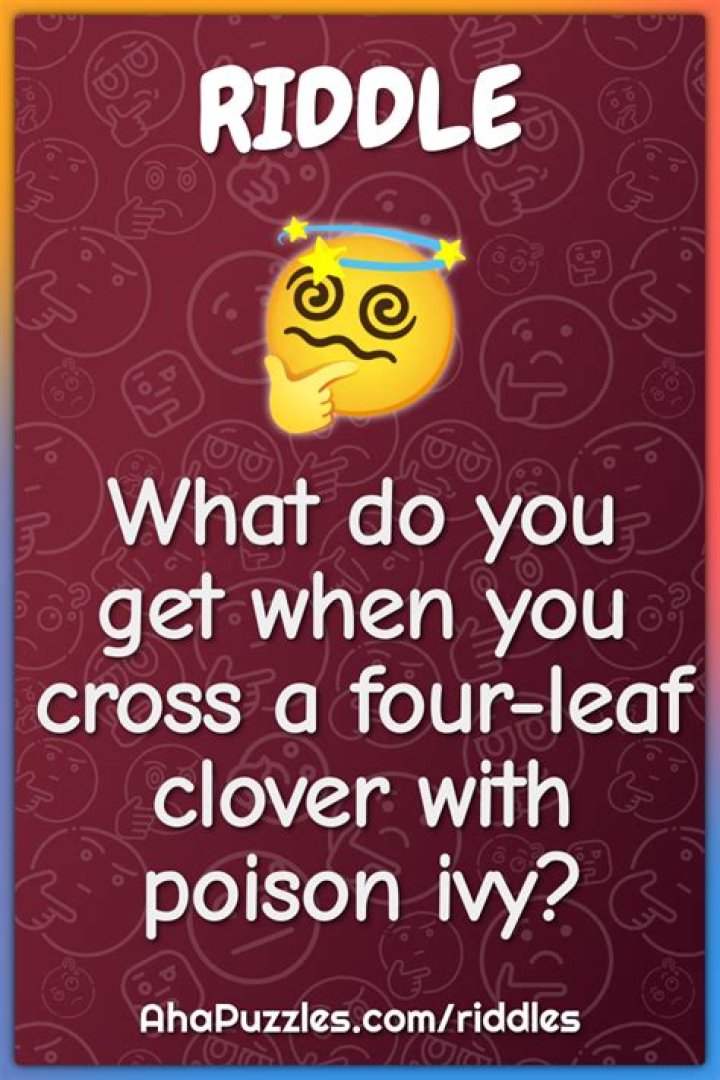 What do you get when you add 1 4 brain teaser?