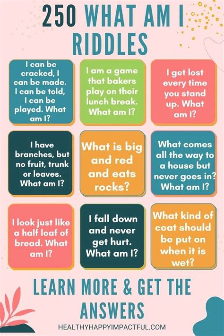 What do you mean by what am I puzzles?