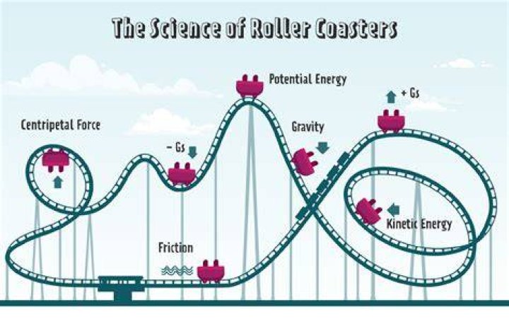 What do you need to know about roller coasters?