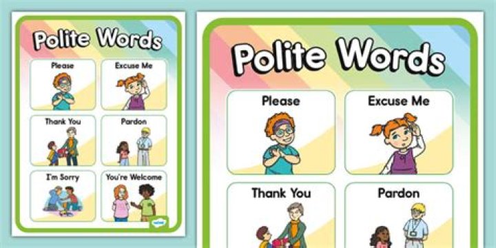 What do you want in a polite way?
