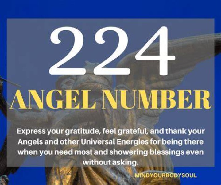What does 224 mean?