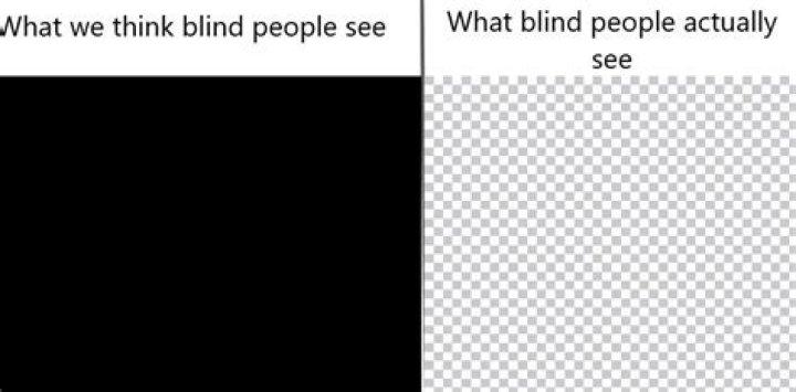 What does a completely blind person see?