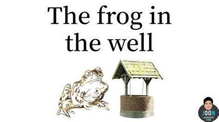 What does a frog in the well mean?