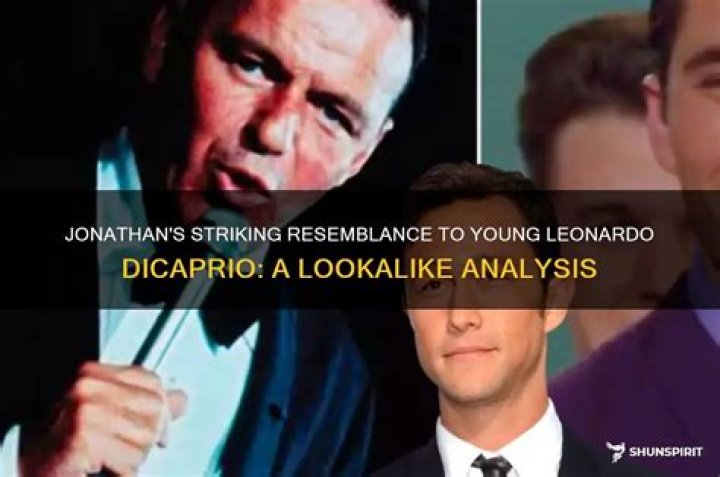 What does a striking resemblance mean?