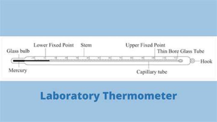 What does a thermometer report?