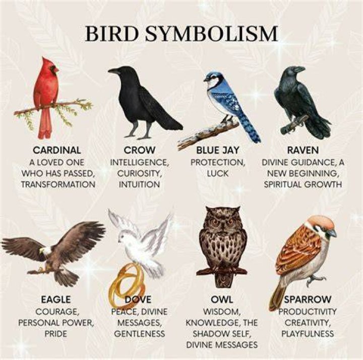 What does an image represent?