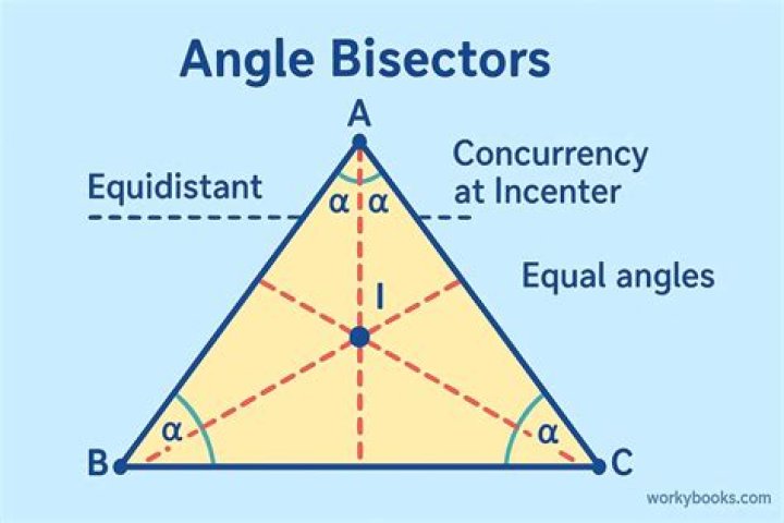 What does bisect mean in shapes?