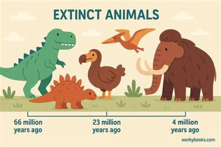 What does extinction stand for?