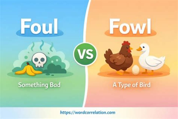 What does foul mean foul?