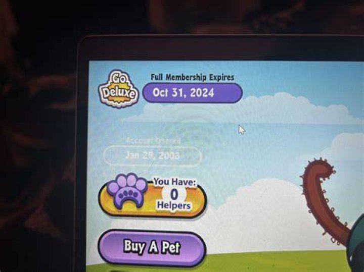 What does full membership expires mean on Webkinz?