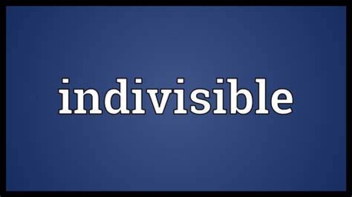 What does indivisible mean in a sentence?