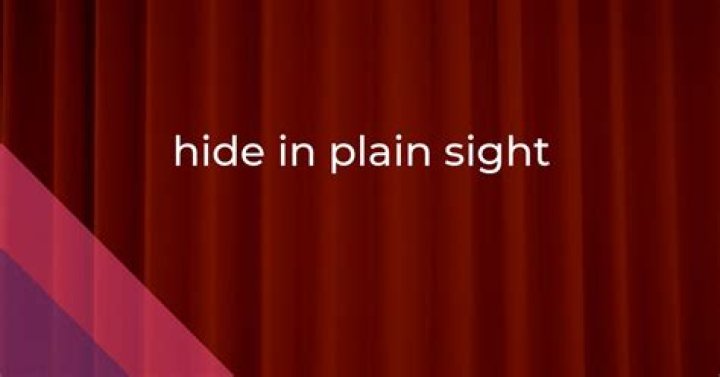 What does it mean hidden in plain sight?