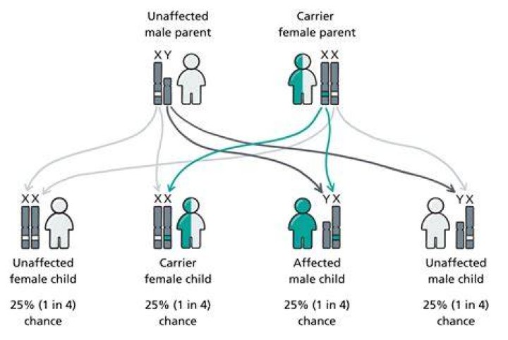 What does it mean if a person is a carrier for a disease?