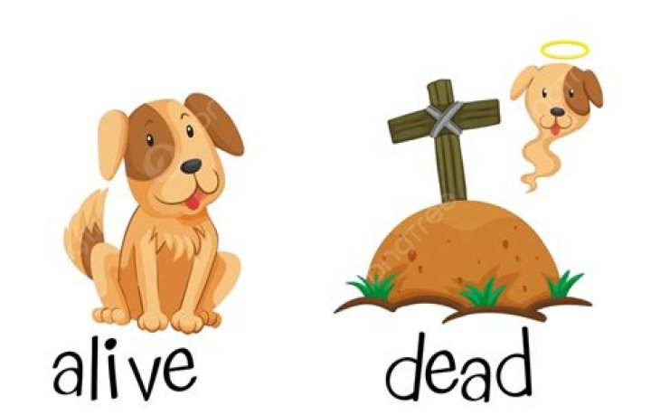 What does it mean to be alive but dead?