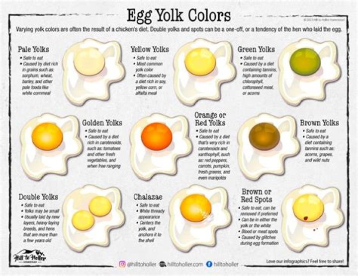 What does it mean when it says egg yolks?