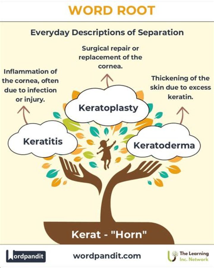 What does Kerat mean in medical terms?