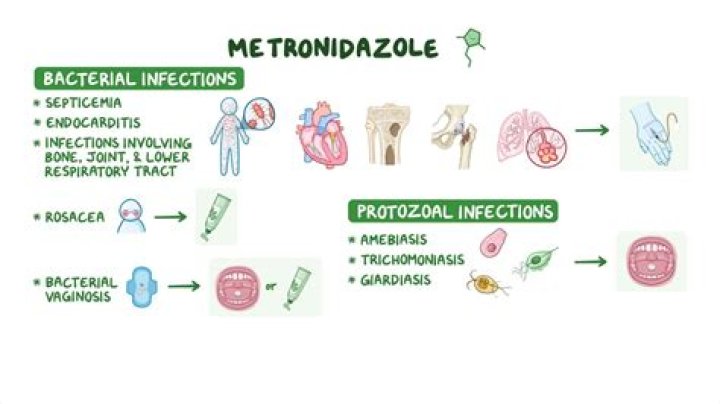 What does metronidazole do to the body?