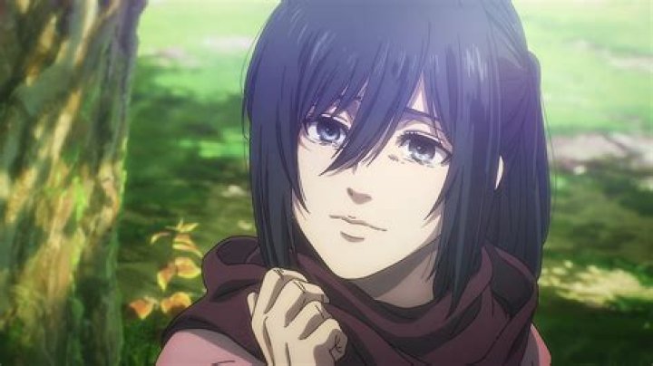 What does Mikasa's tattoo mean?