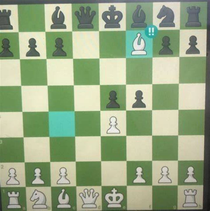 What does pinned mean in chess?