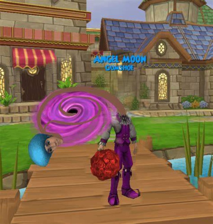 What does playing as pet do Wizard101?
