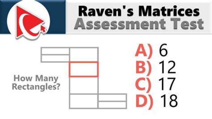 What does Ravens Progressive Matrices measure?