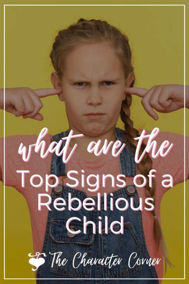 What does rebellious kid mean?