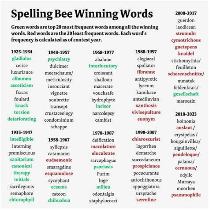 What does spelling bee words mean?