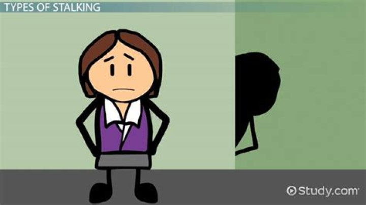 What does stalking someone mean?