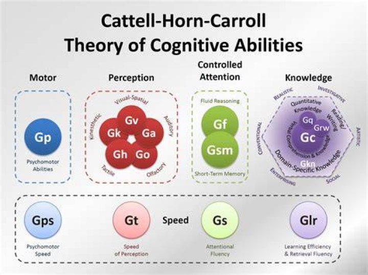 What does the Cattell test measure?