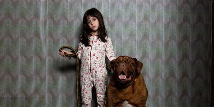 What does the dog scene in The Shining mean?
