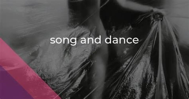 What does the phrase song and dance mean?