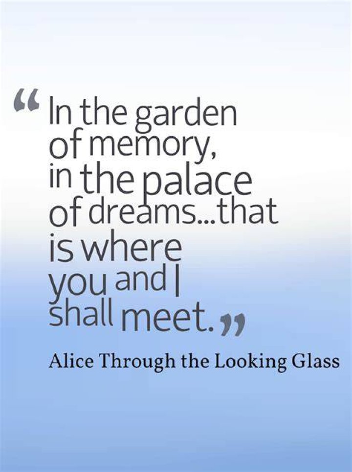 What does the phrase through the looking glass mean?