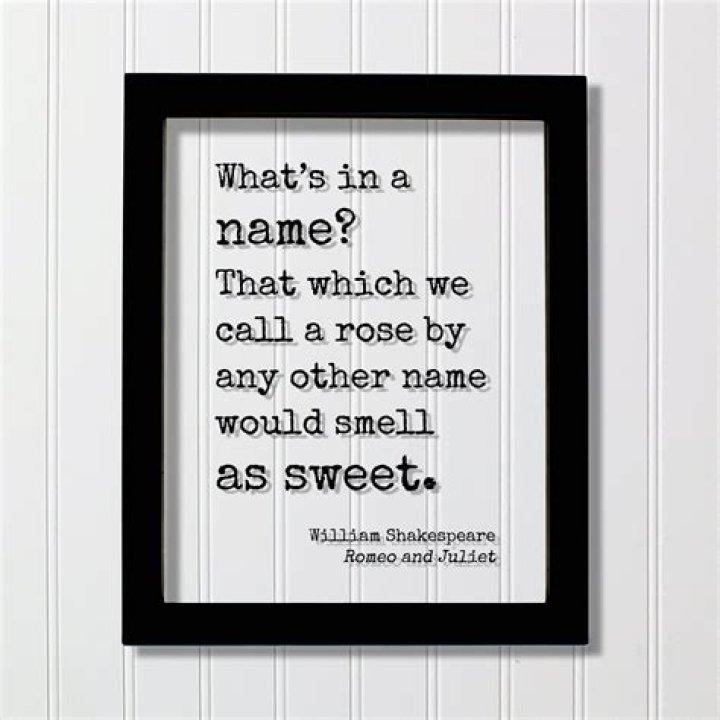 What does the saying a rose by any other name mean?