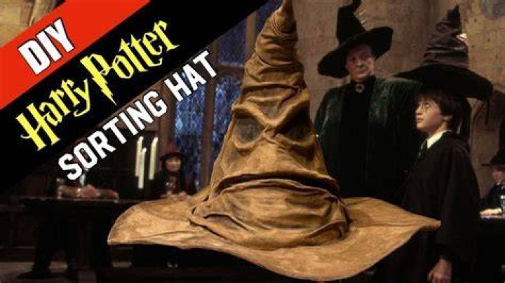 What does the Sorting Hat say?